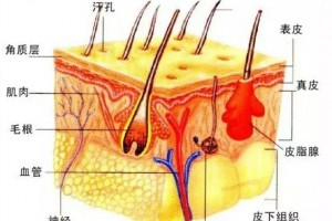 三天就能处理你汗脚的烦恼