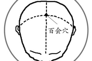 每天按按它补足精力护肝调脾胃不知道就太亏了