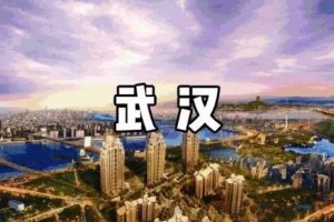 新冠病毒专治西方的傲慢与偏见新冠后国际已来