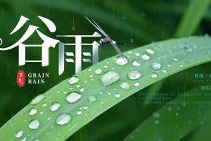 二十四节气与拨筋——谷雨