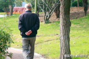 经过走路能够走掉哪些病过60岁坚持走的人健康又长命