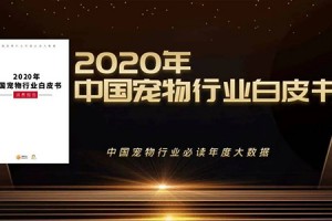 2020中国宠物行业白皮书发布，了不起的猫咪获奖行业优秀品牌